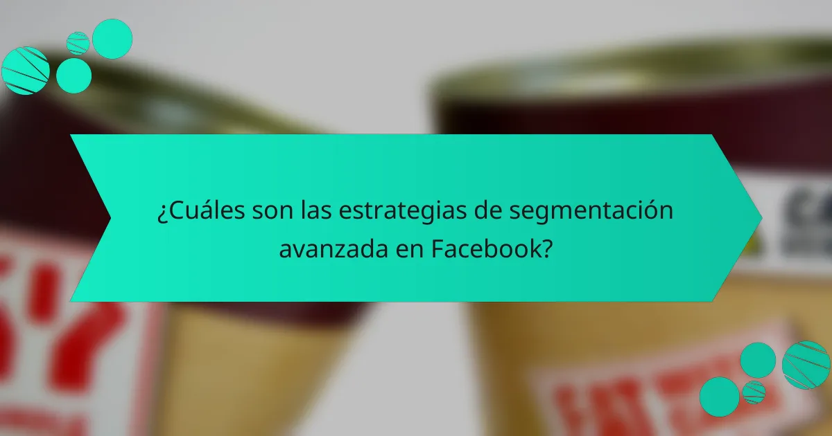 ¿Cuáles son las estrategias de segmentación avanzada en Facebook?